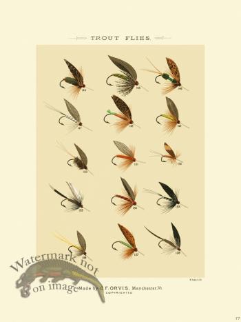 Favorite Flies 17 Trout